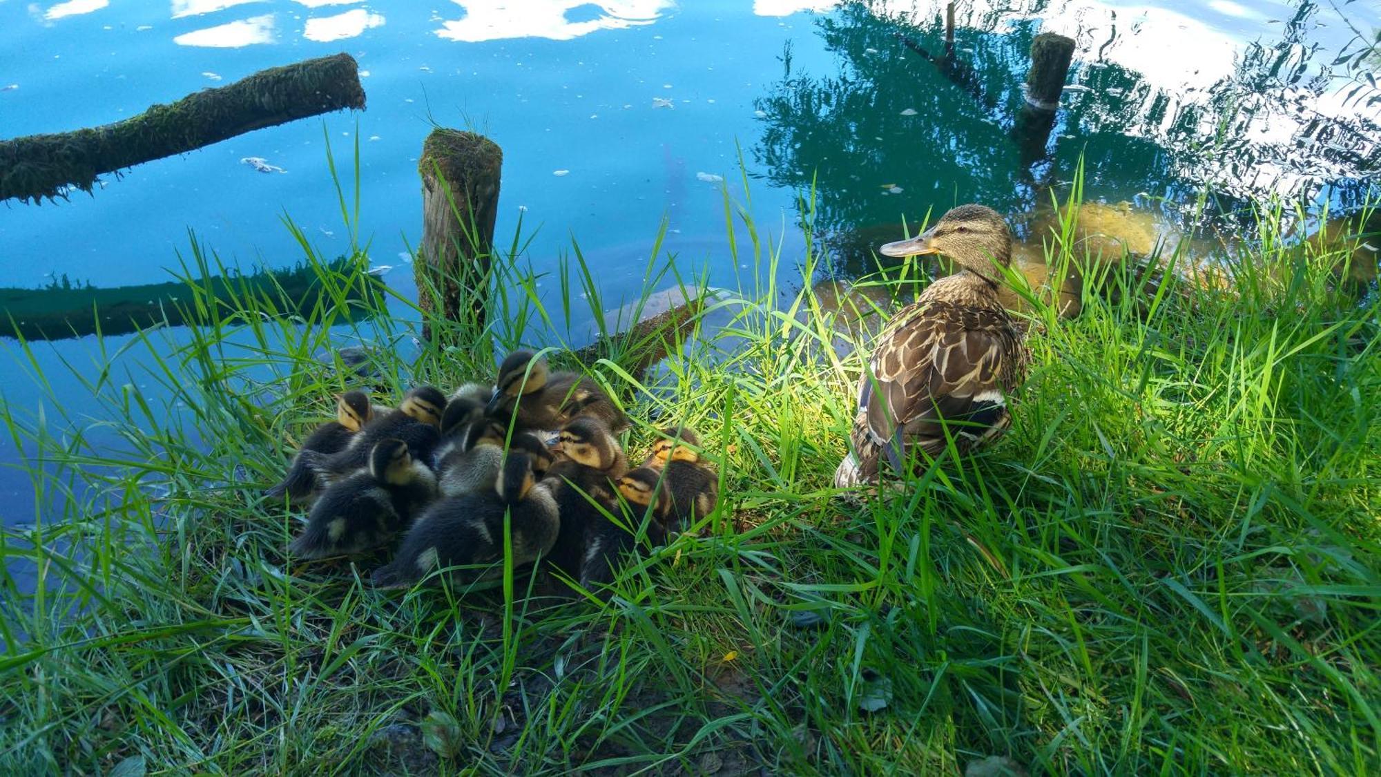 Fortuna Holiday Home Bihać Zewnętrze zdjęcie
