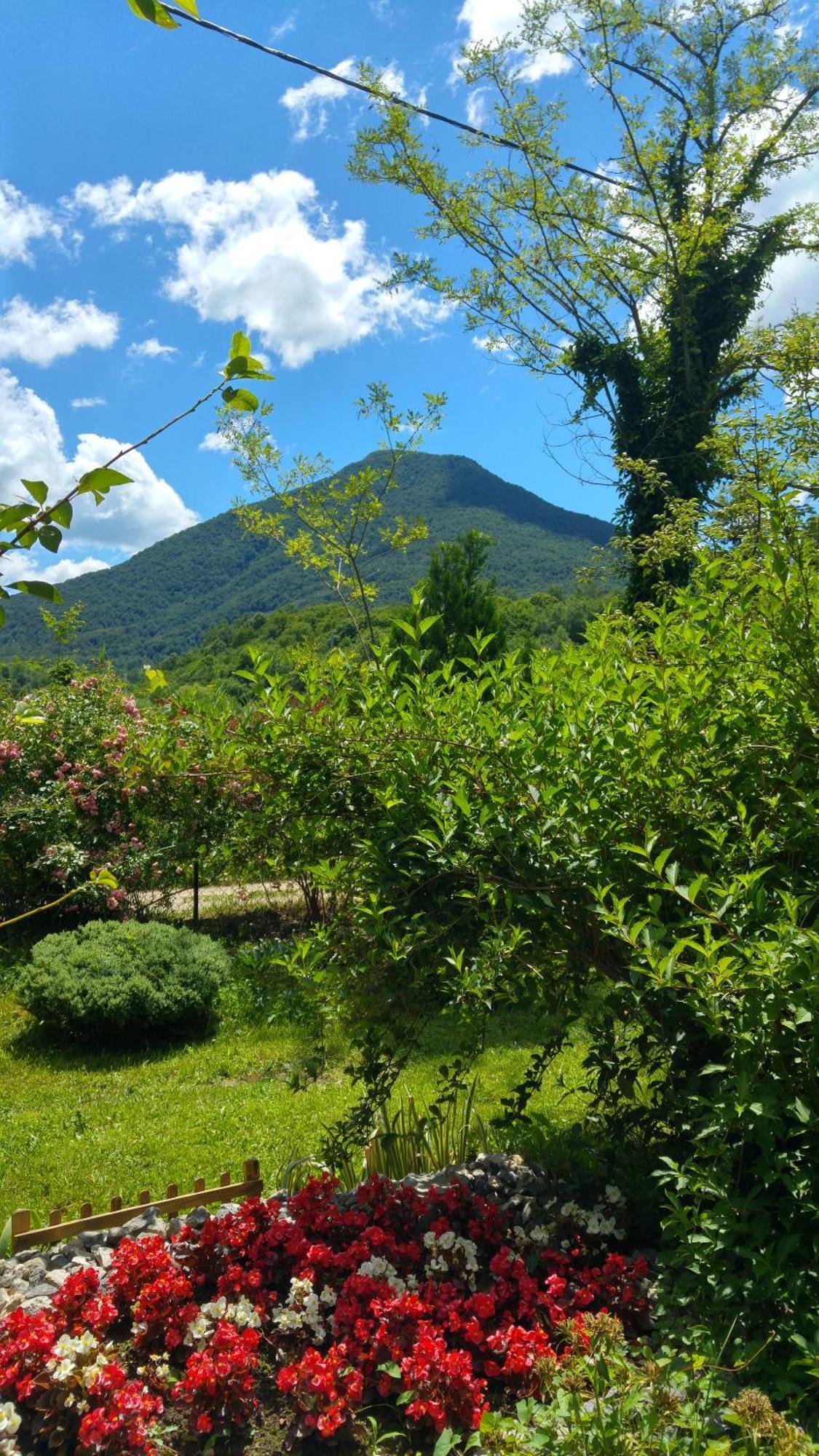Fortuna Holiday Home Bihać Zewnętrze zdjęcie
